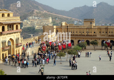 Elefanten, die die Touristen zu Amber Fort in Jaipur, Rajasthan, Indien, am 16. Februar 2016 eingerichtet. Stockfoto