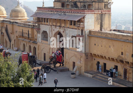 Elefanten, die die Touristen zu Amber Fort in Jaipur, Rajasthan, Indien, am 16. Februar 2016 eingerichtet. Stockfoto