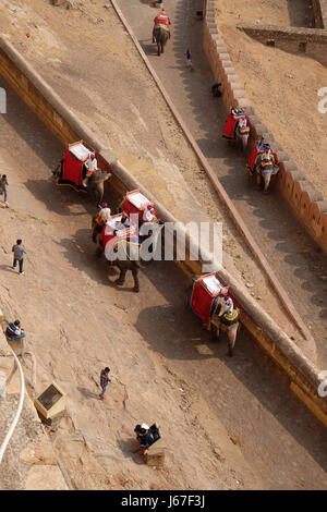 Elefanten, die Touristen bei Amber Fort in Jaipur, Rajasthan, Indien, 16. Februar 2016 warten verziert. Stockfoto