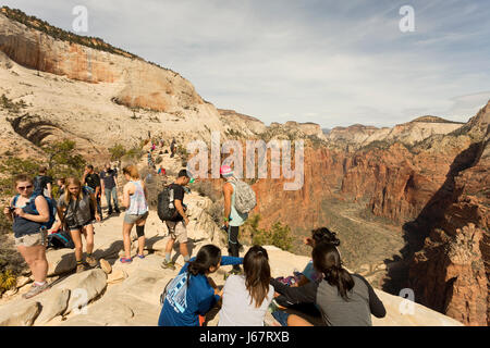 Frühjahr Leistungsschalter Wanderung zum Angels Landing Stockfoto