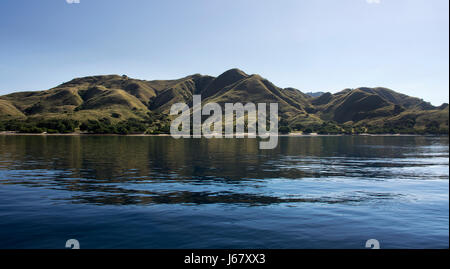 Küste von Bergen mit grüner Vegetation spiegelt sich im blauen Ozeanwasser in Labuan Bajo auf Flores, Indonesien. Stockfoto