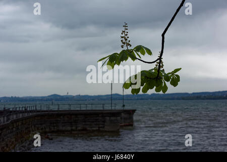 Seebühne (Amphitheater in Bregenz, Österreich) am Bodensee Stockfoto