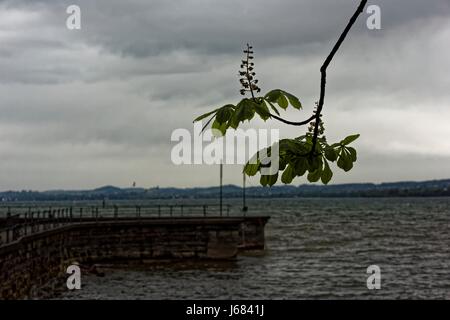 Seebühne (Amphitheater in Bregenz, Österreich) am Bodensee Stockfoto