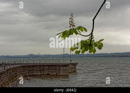 Seebühne (Amphitheater in Bregenz, Österreich) am Bodensee Stockfoto