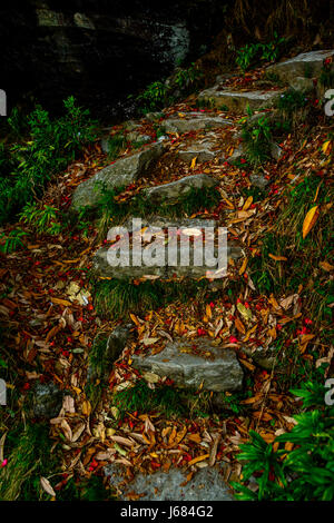 Wanderweg zum Triund, Dharamsala in Nordindien Stockfoto