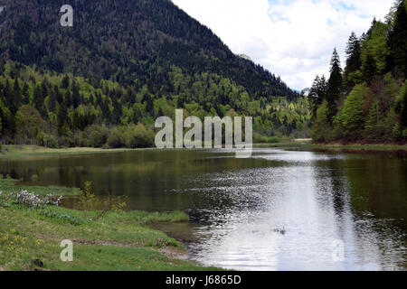 Kleine ruhige See / Teich neben dem deutschen Alpine Road, Bayern, Deutschland Stockfoto