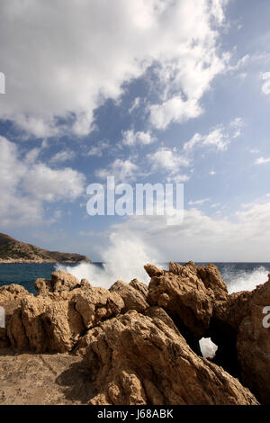 Cala guya Stockfoto