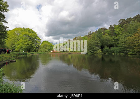 Freitag Street, Surrey, UK. 20. Mai 2017. Schöne Reflexionen auf dem Teich am Freitag Straße in der Nähe von Dorking in Surrey Hills, auf einen Tag voller Sonnenschein und Duschen. Bildnachweis: Julia Gavin UK/Alamy Live-Nachrichten Stockfoto