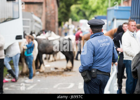 Wickham, Hampshire, Vereinigtes Königreich. 20. Mai 2017. Wickham Pferdemesse. Gruppen von Gipsy Reisende treffen sich mit ihren Pferden. Die jährliche Wickham Pferdemesse in der Nähe von Fareham, stammt aus mehr als 800 Jahren und wird von Reisenden Gemeinden aus über dem Land besucht. Bildnachweis: Will Bailey/Alamy Live-Nachrichten Stockfoto