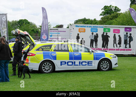 Gloucester, Großbritannien. 20. Mai 2017. Gloucestershire Polizei verwenden Gloucester Park für eine öffentliche Demonstration der Rolle der Polizeihunde bei der Verbrechensbekämpfung. Kredit: Chris Poole/Alamy Live-Nachrichten Stockfoto