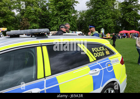 Gloucester, Großbritannien. 20. Mai 2017. Gloucestershire Polizei verwenden Gloucester Park für eine öffentliche Demonstration der Rolle der Polizeihunde bei der Verbrechensbekämpfung. Kredit: Chris Poole/Alamy Live-Nachrichten Stockfoto