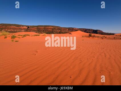 Korallensand Stockfoto