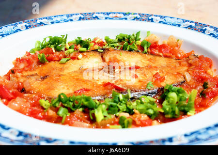 Makrele mit Tomatensauce und Zwiebeln geschmort Stockfoto