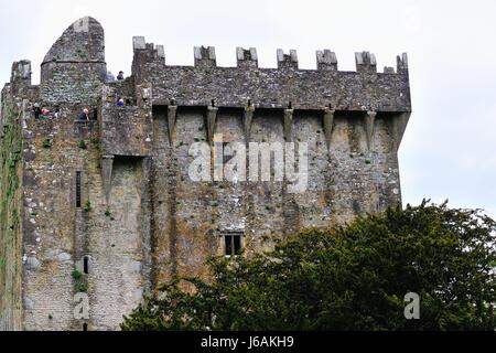 Zinnen und Brüstungen von Blarney Castle in Blarney, County Cork, Irland. Die Burg entstand im Jahre 1446 von Dermot McCarthy. Stockfoto