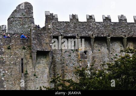 Zinnen und Brüstungen von Blarney Castle in Blarney, County Cork, Irland. Die Burg entstand im Jahre 1446 von Dermot McCarthy. Stockfoto