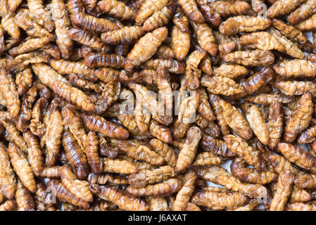 Frittierte Seidenraupen - Straße Chinesisch Essen in Sichuan, China Stockfoto