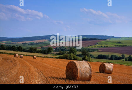 Landwirtschaft Landwirtschaft Sommer sommerlich Stroh Kugel Stoppeln Feld Korn Feld-Stroh Stockfoto