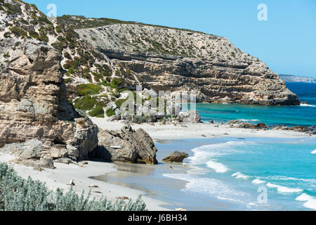 Seal Bay, Kangaroo Island, South Australia, Australien. Stockfoto