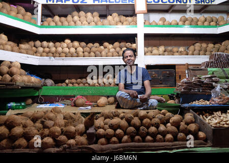 Indische Hersteller sitzt hinter einen großen Haufen von dunkelhäutigen braune Kokosnüsse im neuen Markt in Kalkutta am 11. Februar 2016. Stockfoto