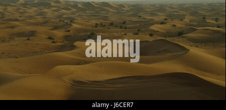 Abendlicher Blick über die Wüste Sand Dünen mit seidenpflanzen Büsche, Alpha Touren Wüstensafari, Dubai, Vereinigte Arabische Emirate Stockfoto