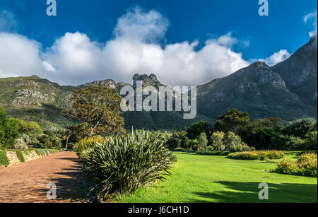 Weg durch die Kirstenbosch National Botanical Gardens führt mit Tafelberg und steigende Wolkenbildung wie die Tischdecke im Hintergrund bekannt Stockfoto