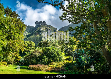 Baum gerahmte Blick auf den Tafelberg von Kirstenbosch National Botanical Garden, Cape Town, Western Cape, Südafrika Stockfoto