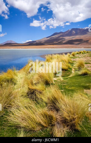 Altiplano Laguna im Sud Lipez Reserva Eduardo Avaroa, Bolivien Stockfoto