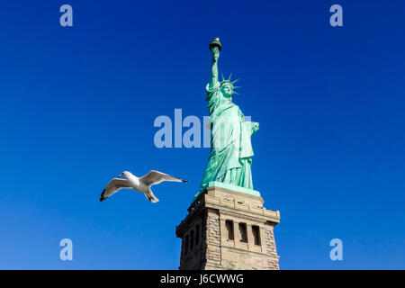 Taube vor der Freiheitsstatue bei perfektem Wetter Bedingungen blauen Himmel Kupfer Stockfoto