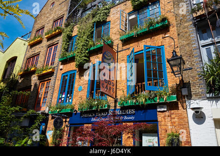 Neal's Yard Square in Covent Garden, London, England, Vereinigtes Königreich, Großbritannien Stockfoto