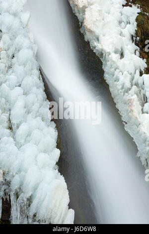 Schachtelhalm fällt, Historic Columbia River Highway, Mt. Hood National Forest, Columbia River Gorge National Scenic Area, Oregon Stockfoto