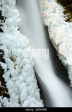 Schachtelhalm fällt, Historic Columbia River Highway, Mt. Hood National Forest, Columbia River Gorge National Scenic Area, Oregon Stockfoto