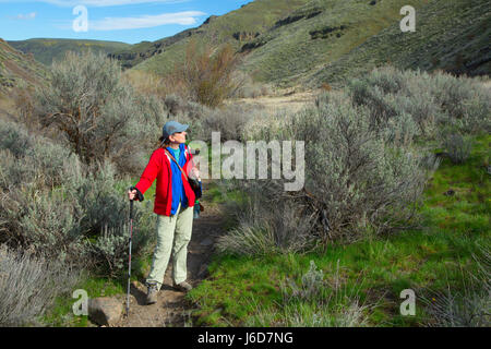 Umtanum Creek Trail, Yakima River Canyon Scenic und Freizeit Autobahn, Wenas Zustand Wildlife Area, Washington Stockfoto