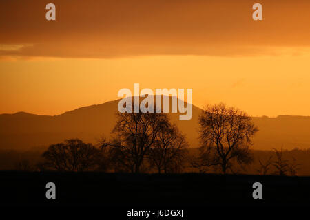 Hellen orangefarbenen Himmel Dawn Sonnenaufgang über Wrekin Hill, Shropshire, England mit Bäumen und Hügeln in der Silhouette am Horizont. Stockfoto