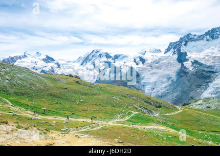Breithorn Liskamm bei Zermatt Switzerland in der Sommersaison Stockfoto