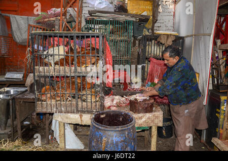 Der berühmte Food Street, Lahore, Punjab, Pakistan Stockfoto