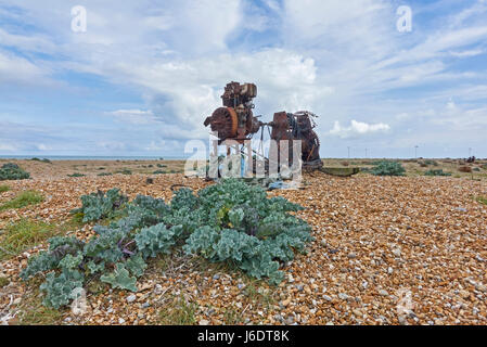 Dungeness Kent. Rostige alte Winde einmal verwendet für das Schleppen der Fischerboote, die steilen Kiesstrand; Jetzt sieht unheimlich aus wie ein Metall Roboter-Mann Stockfoto