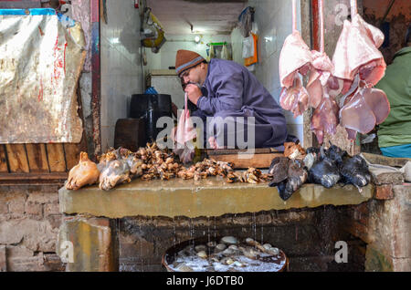 Der berühmte Food Street, Lahore, Punjab, Pakistan Stockfoto