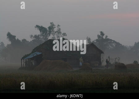 Einem strohgedeckten Haus am Nijhum Dwip. Noakhali, Bangladesch. Stockfoto