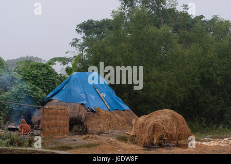 Einem strohgedeckten Haus am Nijhum Dwip. Noakhali, Bangladesch. Stockfoto