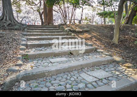 Tokyo, Japan - 2. April 2014: Ueno-Park, weitläufigen öffentlichen Park im Stadtteil Ueno, Tokio. Kirschblüte ist Veranstaltung im Frühjahr Stockfoto