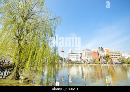 Tokyo, Japan - 2. April 2014: Ueno-Park, weitläufigen öffentlichen Park im Stadtteil Ueno, Tokio. Kirschblüte ist Veranstaltung im Frühjahr Stockfoto