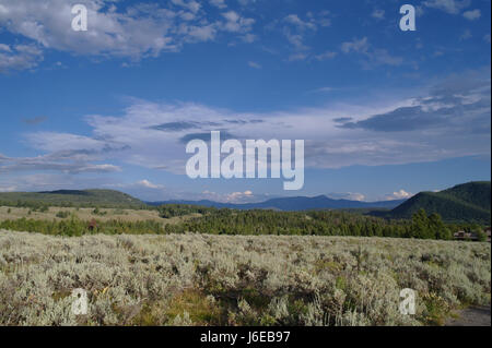 Blauer Himmel Cumulus Wolken Blick Osten über Beifuß in Wald Pisten Lozier Hill, Signal Mountain und entfernten Uhl Hügel, Jackson Lake Lodge, Wyoming, USA Stockfoto