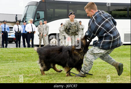 Senior Airman David Bischoff, 436th Sicherheit Kräfte Squadron militärische Working Dog Handler Uhren MWD Terry Angriff Senior Airman Alexander Cormier, 436th SFS während einer Demonstration, 11. Mai 2017, auf der Dover Air Force Base, Del. fünfzehn Mitglieder der Philadelphia Police Department, Philadelphia, PA., beobachtete verschiedene Szenarien zeigen, wie ein Handler und MWD neutralisieren einer feindlichen Bedrohung sind. (Foto: Roland Balik US Air Force) Stockfoto