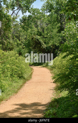 Ein Weg ins Ungewisse unter einem sonnigen blauen Himmel Stockfoto