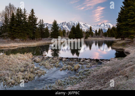 Ein Biber-Damm verlangsamt sich einen Kanal des Snake River unterhalb der Teton Berge Schwabacher Landing. Grand Teton Nationalpark, Wyoming Stockfoto