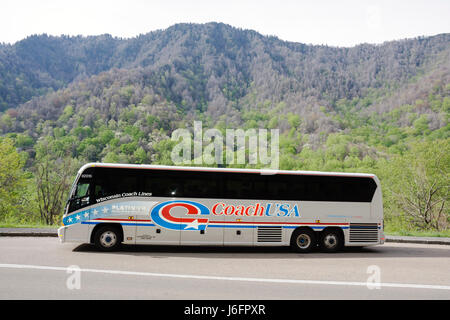 Tennessee Great Smoky Mountains National Park, Tourbus, Reisebus, Aussichtspunkt, Bergrücken, Gipfel, Natur, Natur, Landschaft, Landschaft, Bäume, Schornsteinplatten, TN080501003 Stockfoto