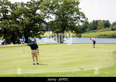 Kenosha Wisconsin, KANSASVILLE, Brighton Dale Links, Golfplatz, County Park System, Erwachsene Erwachsene Mann Männer männlich, Putting Green, Club, Putter, Flagge, Gras, landschaftlich Stockfoto