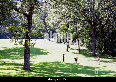 Kenosha Wisconsin, KANSASVILLE, Brighton Dale Links, Golfplatz, County Park System, Erwachsene Erwachsene Männer männlich, Sport, Erholung, Fairway, Gruppe, Landschaft, tr Stockfoto