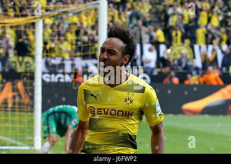 Dortmund, Deutschland. 20. Mai 2017. Pierre-Emerick Aubameyang von Borussia Dortmund feiert sein Tor in der Bundesliga-Spiel zwischen Borussia Dortmund und Werder Bremen in Dortmund, Deutschland, 20. Mai 2017. Dortmund gewann 4: 3. Bildnachweis: Joachim Bywaletz/Xinhua/Alamy Live-Nachrichten Stockfoto