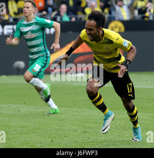 Dortmund, Deutschland. 20. Mai 2017. Pierre-Emerick Aubameyang (R) von Borussia Dortmund feiert sein Tor beim Bundesligaspiel zwischen Borussia Dortmund und Werder Bremen in Dortmund, Deutschland, 20. Mai 2017. Dortmund gewann 4: 3. Bildnachweis: Joachim Bywaletz/Xinhua/Alamy Live-Nachrichten Stockfoto